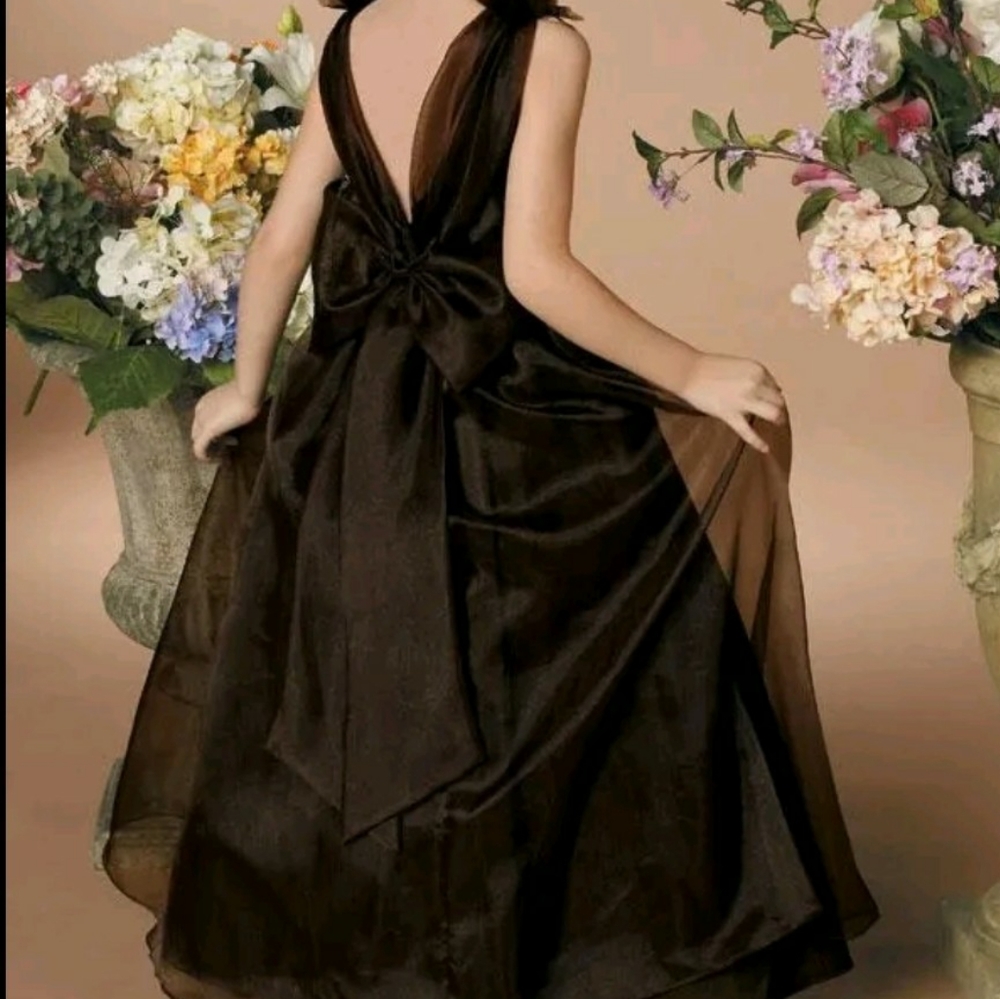 Organza Chocolate Brown Flower girl dresses design  Sweet Beginnings Size 5